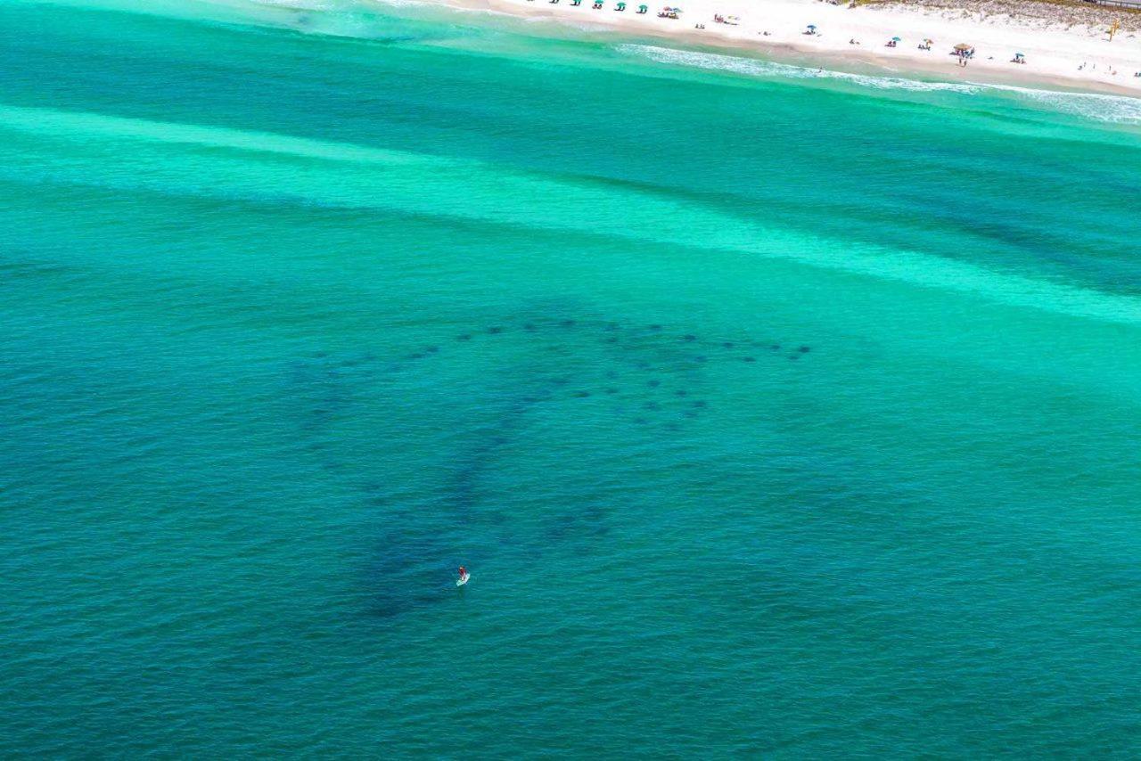 Caribbean Dunes 120 دستين المظهر الخارجي الصورة